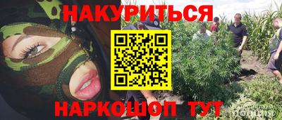 спайс Гусев