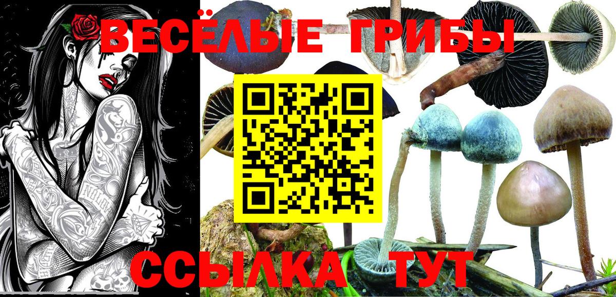 Калуга  Галлюциногенные грибы Magic Shrooms  Вход с VPN 